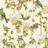 Papier peint Baobab Botanica - Pierre - Cole & Son