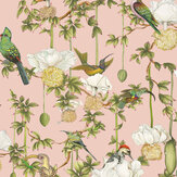 Papier peint Baobab Botanica - Rosé - Cole & Son