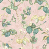 Papier peint Cupani - Rosé - Osborne & Little