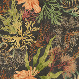 Sea Tangle Wallpaper - Saffron / Cinder - by Isabelle Boxall