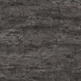 Raw Heritage Wallpaper - Black - by Metropolitan Stories