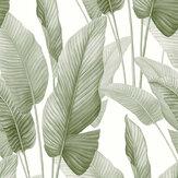 Mantra Wallpaper - Baby Lettuce - by Seabrook Designs. Click for more details and a description.